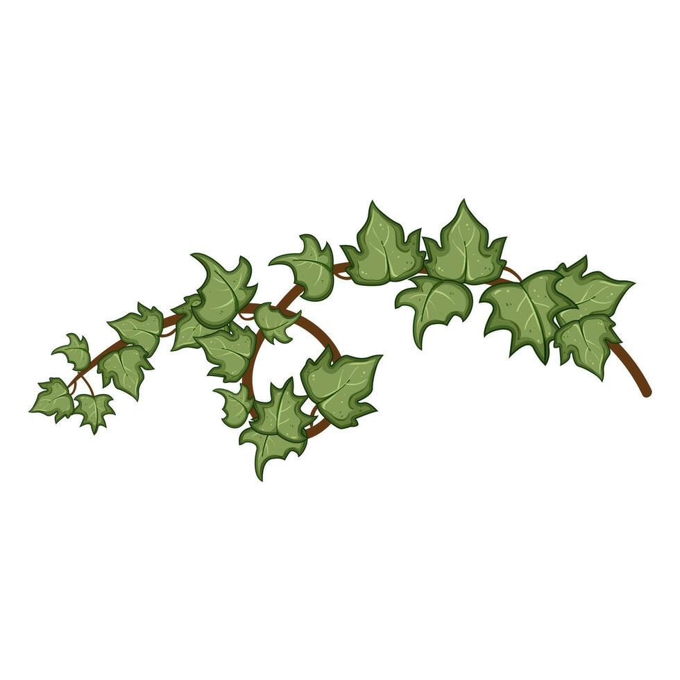 foliage green ivy cartoon illustration vector