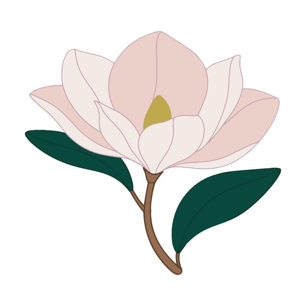 A pink flower with green leaves on a white background vector