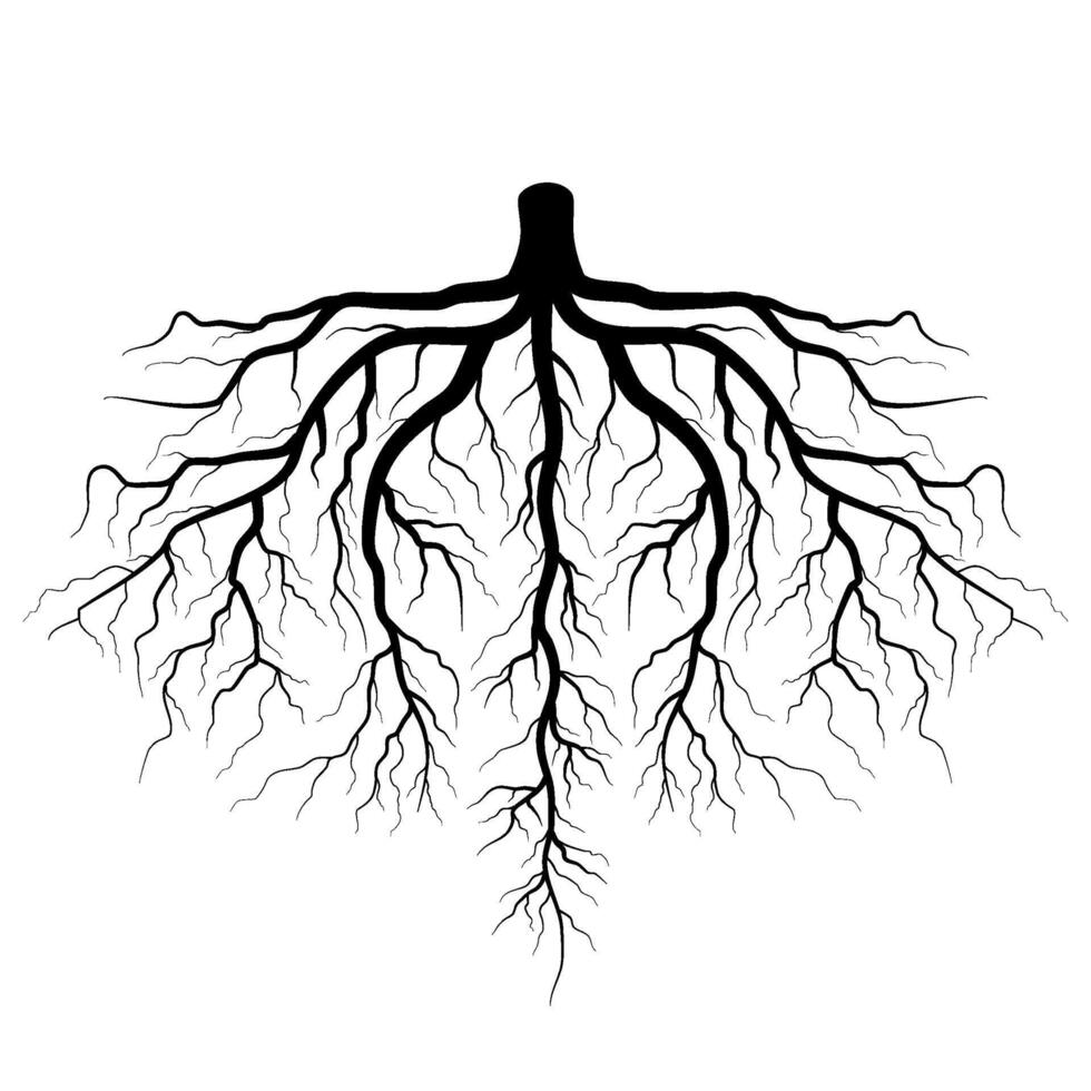 symmetric black tree root element vector