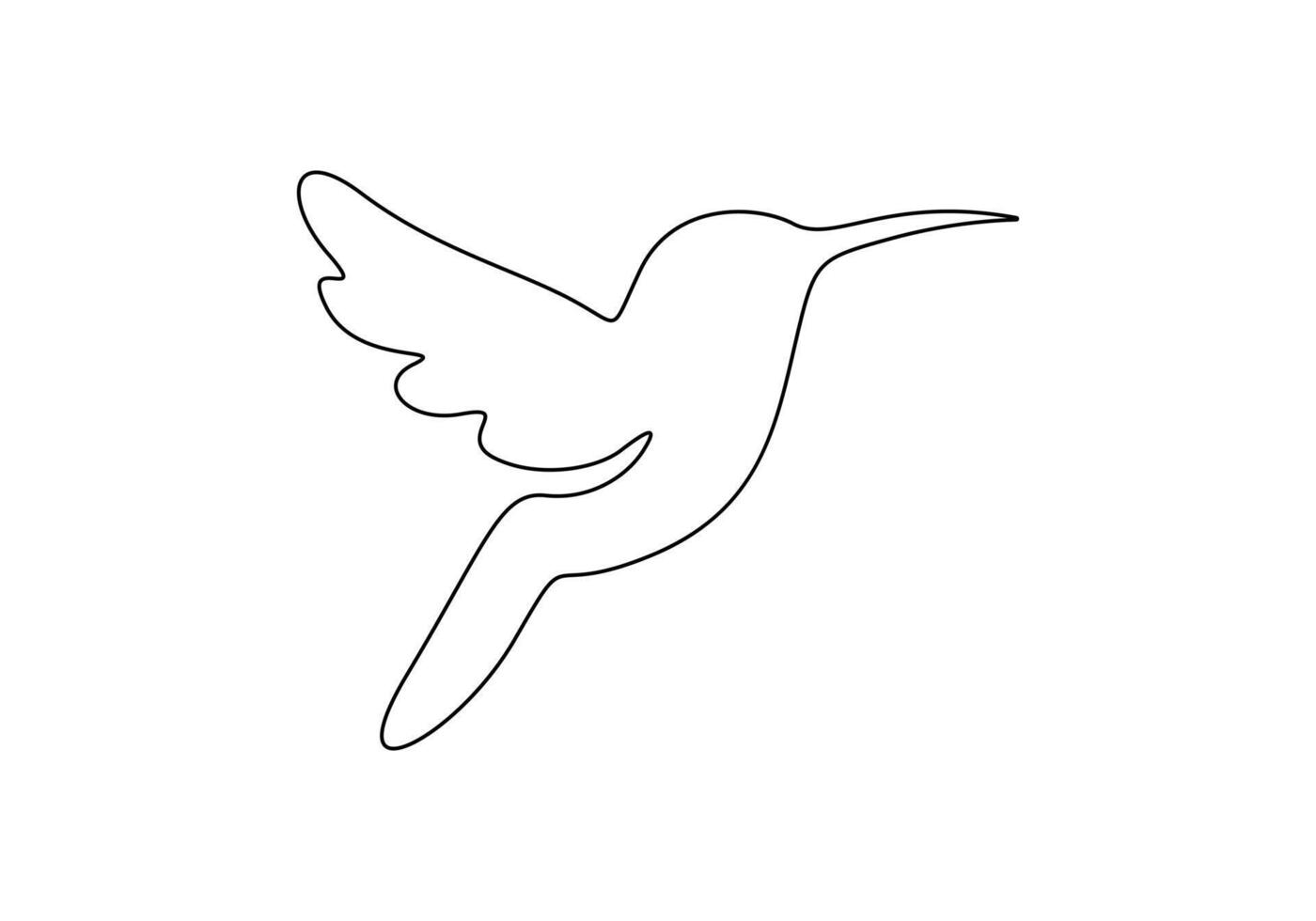 Continuous line drawing of hummingbird. Isolated on white background digital illustration vector