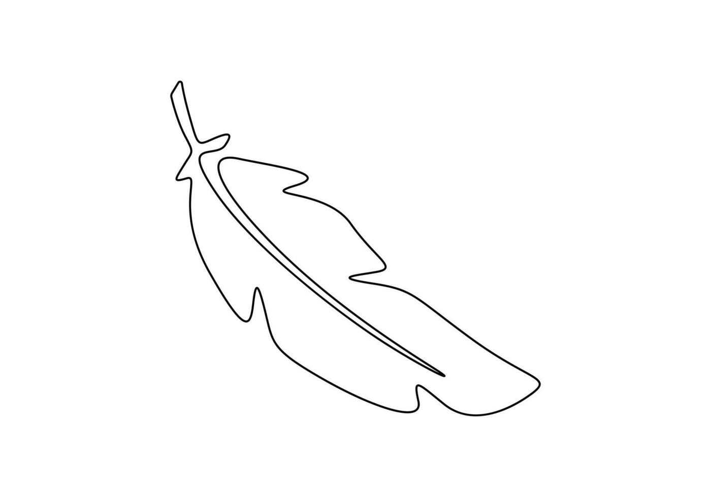 Bird feather continuous one line drawing. Pro illustration vector