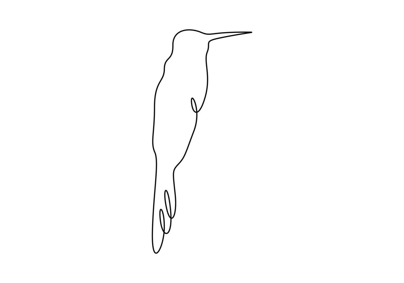 Cute hummingbird continuous line drawing. Isolated on white background. Digital illustration vector