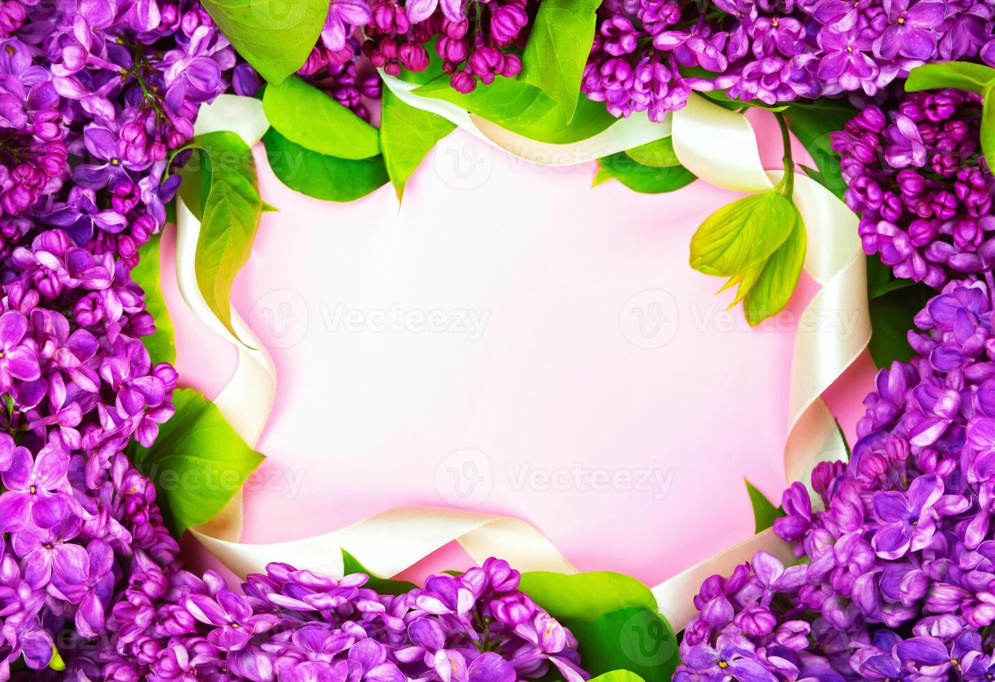 beautiful dark purple fresh lilac on the pink background, purple background photo
