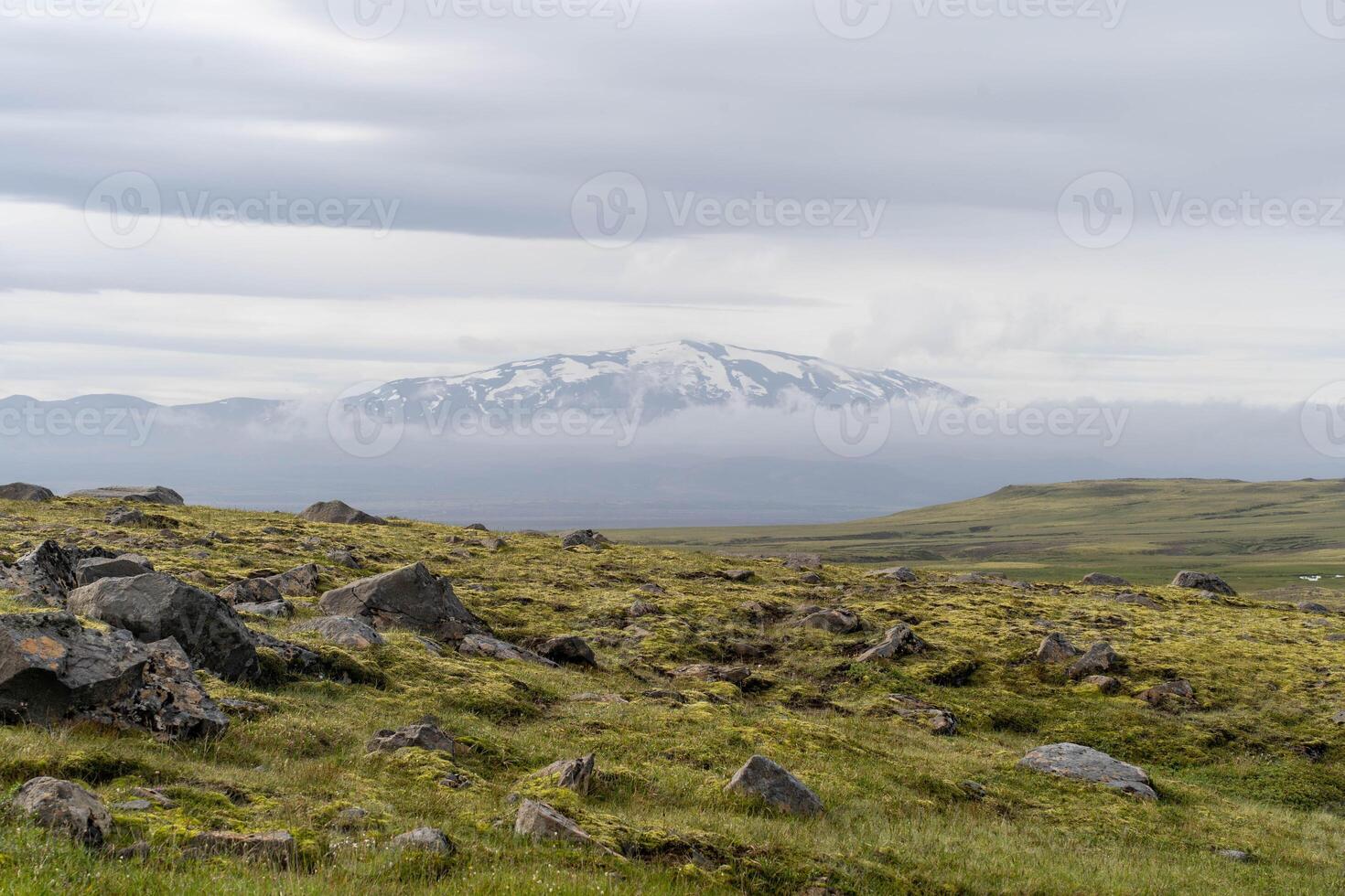 Icelandic Mossy Field with Snow-Capped Mountain in the Distance photo