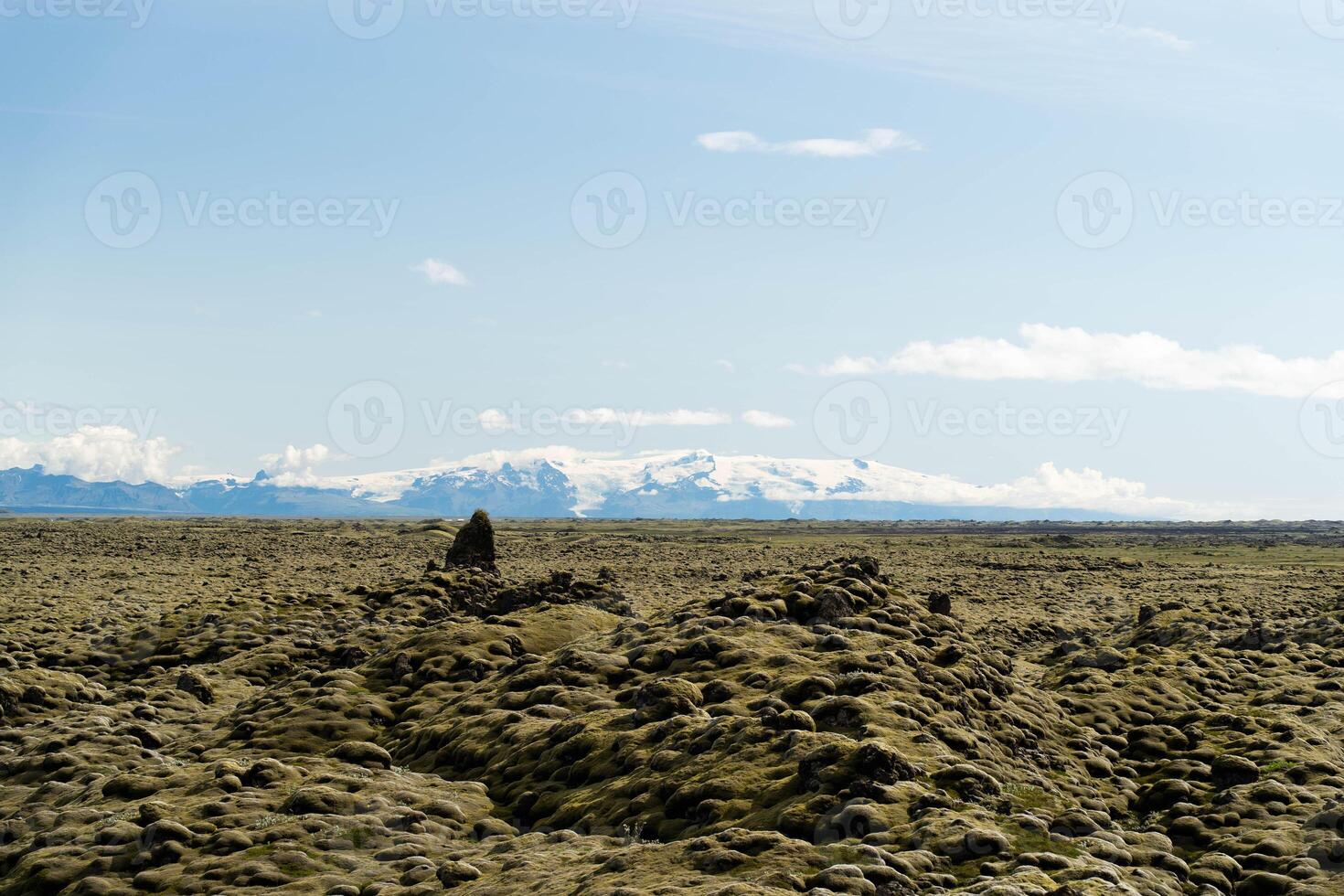 Icelandic Mossy Field with Snow-Capped Mountain in the Distance photo