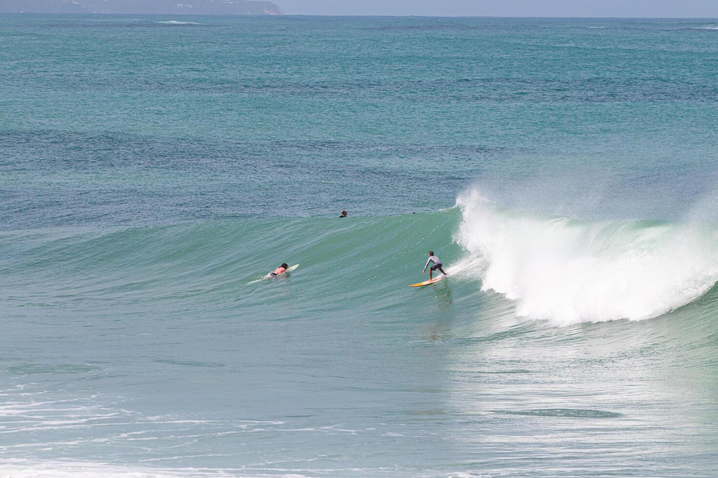 Surfer with orange board on a right wave at VVF, Anse l'etang, tartane, Martinique, West Indies, France photo