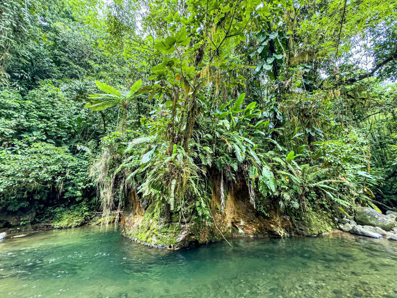 Natural pool in the middle of the tropical forest in Martinique, West Indies, France photo