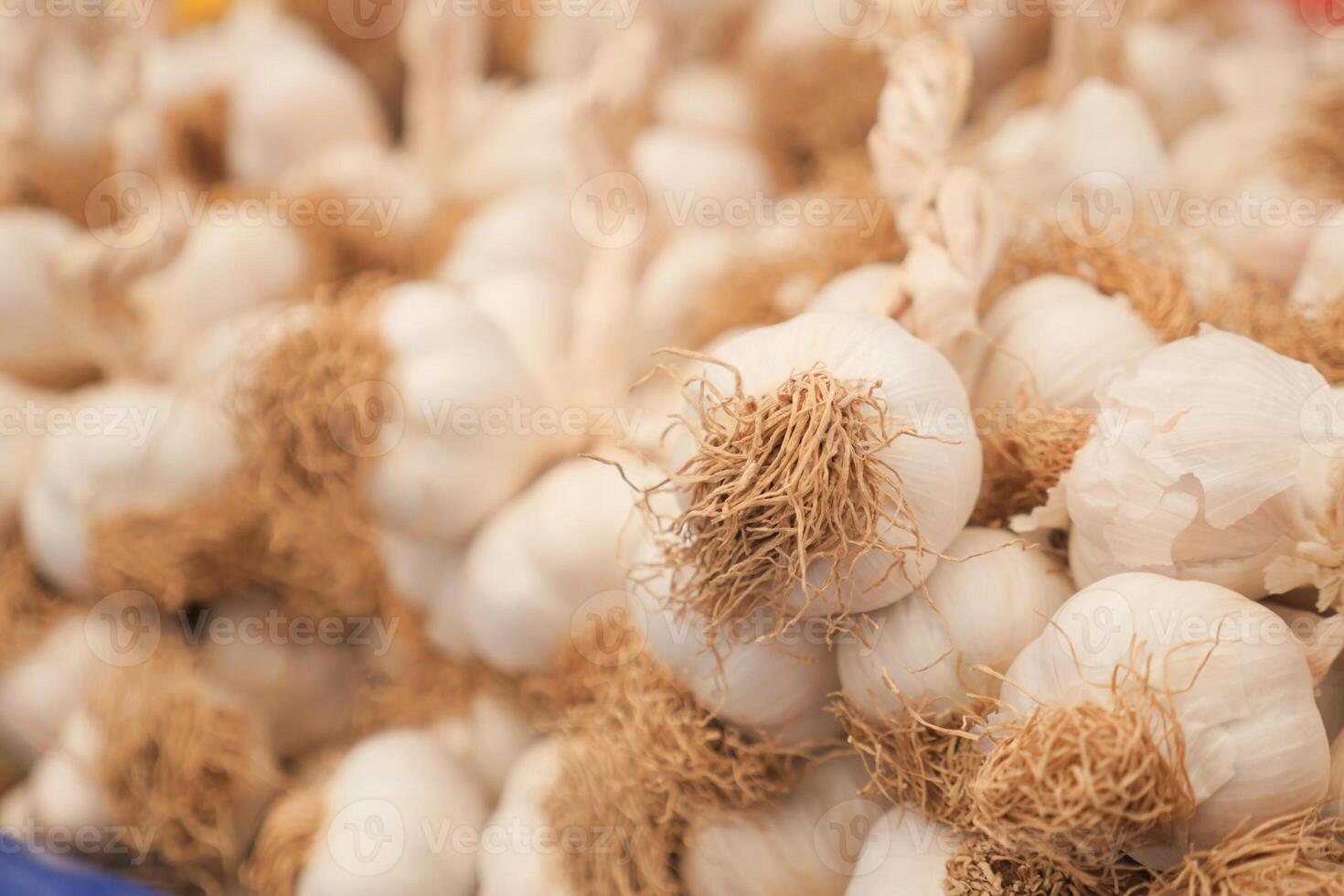close up pf garlic on white background, photo