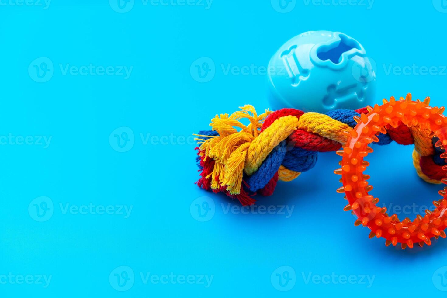 Toys for dogs on blue background studio shot photo