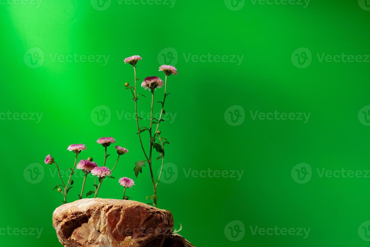 Mock up stone podium against green background photo
