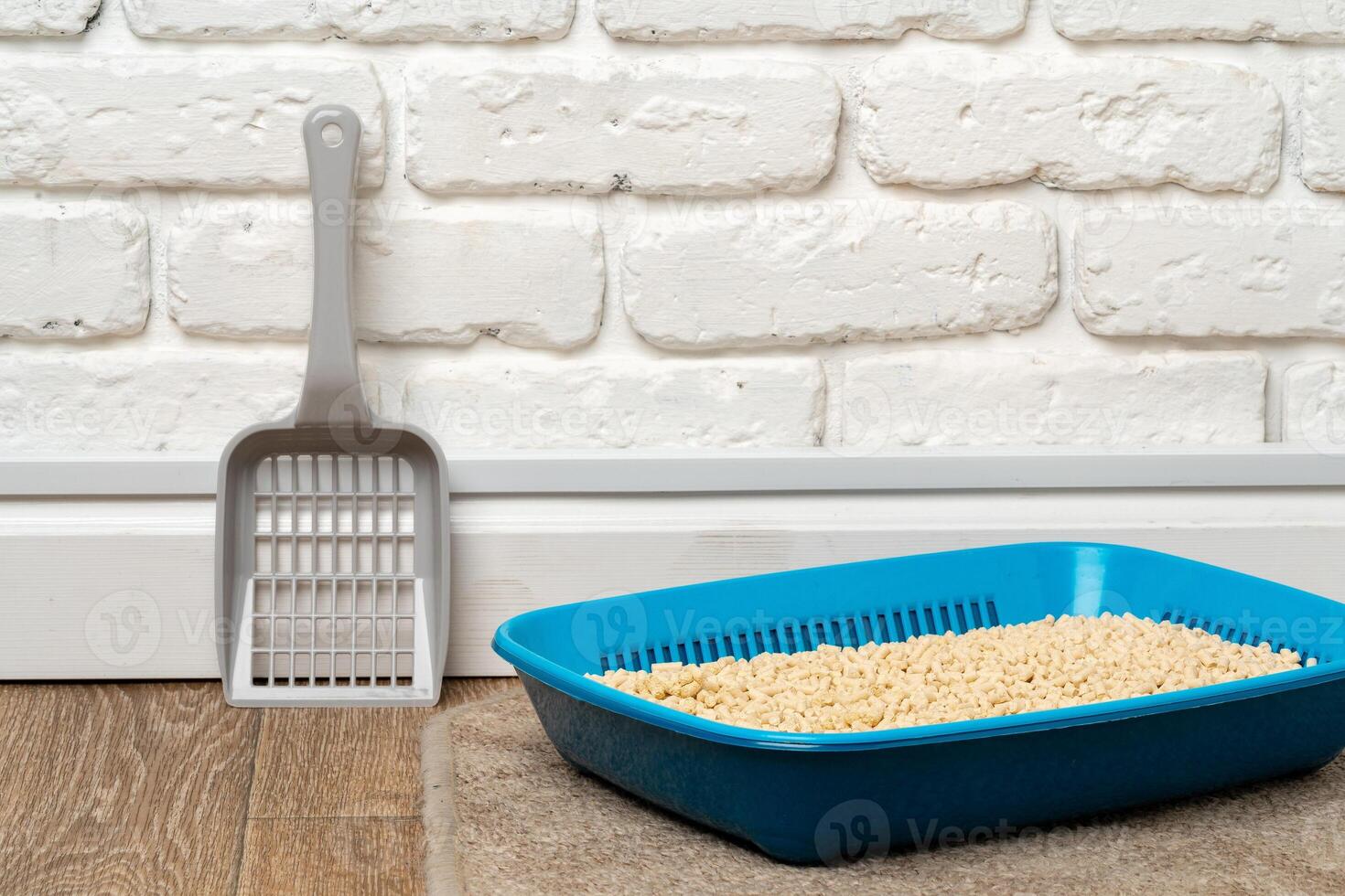 Plastic cat litter box in the bathroom photo