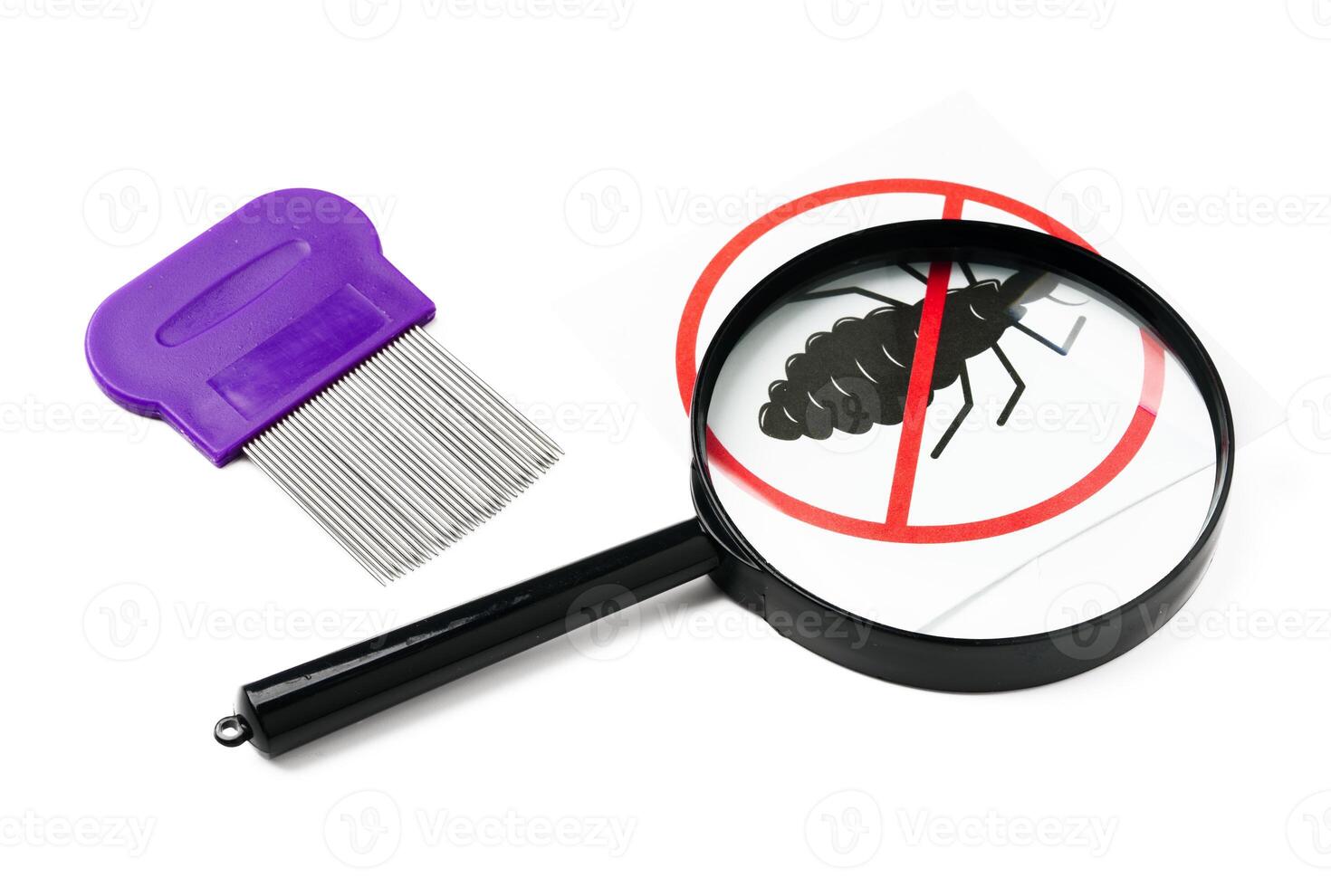 A magnifying glass and lice combs placed side by side on a clean white background photo