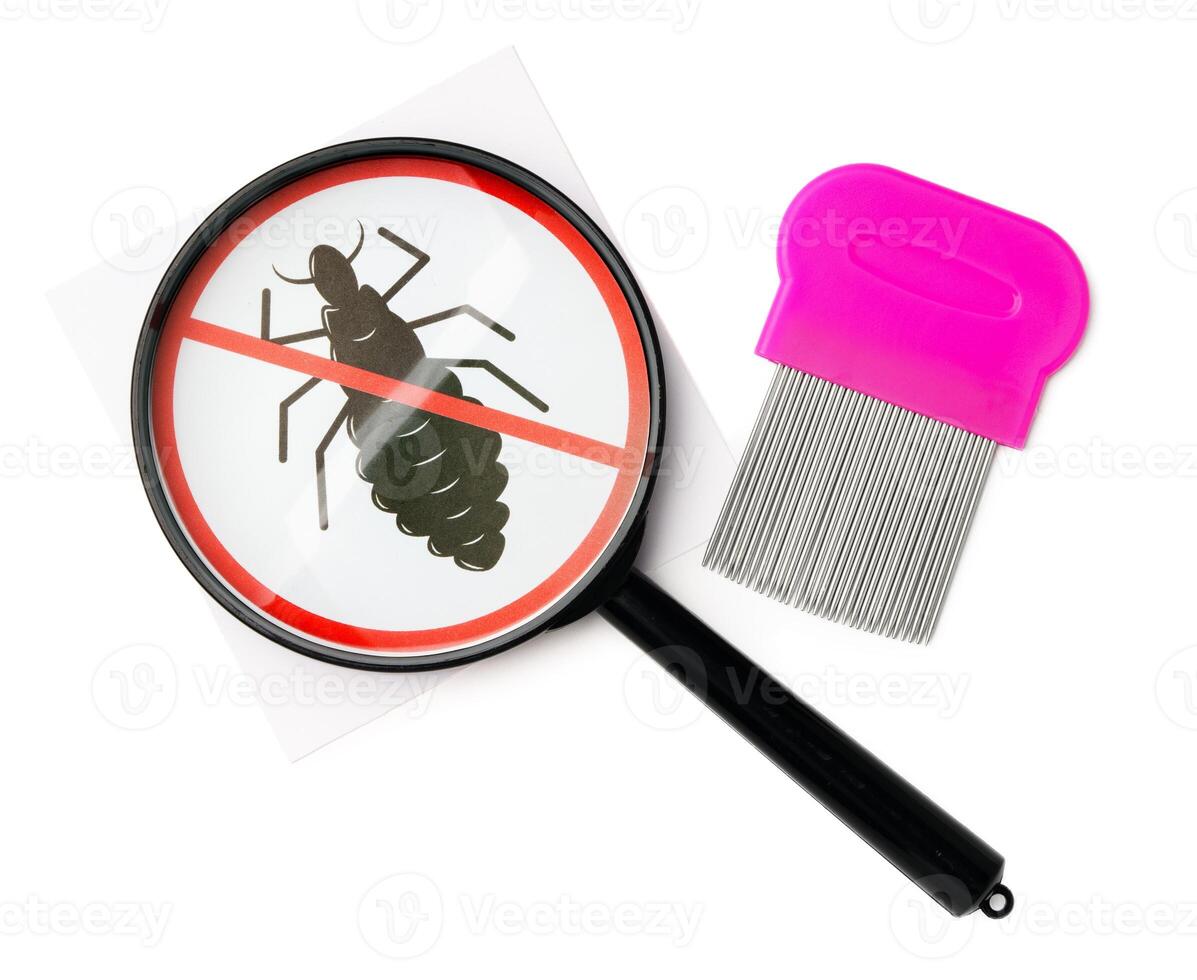 A magnifying glass and lice combs placed side by side on a clean white background photo