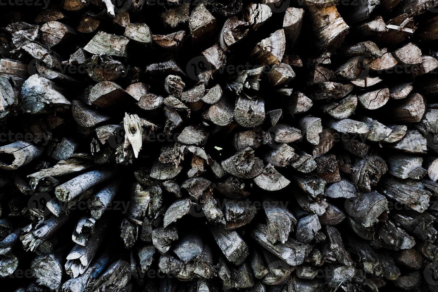 a pile of wood charcoal for landscape footage photo