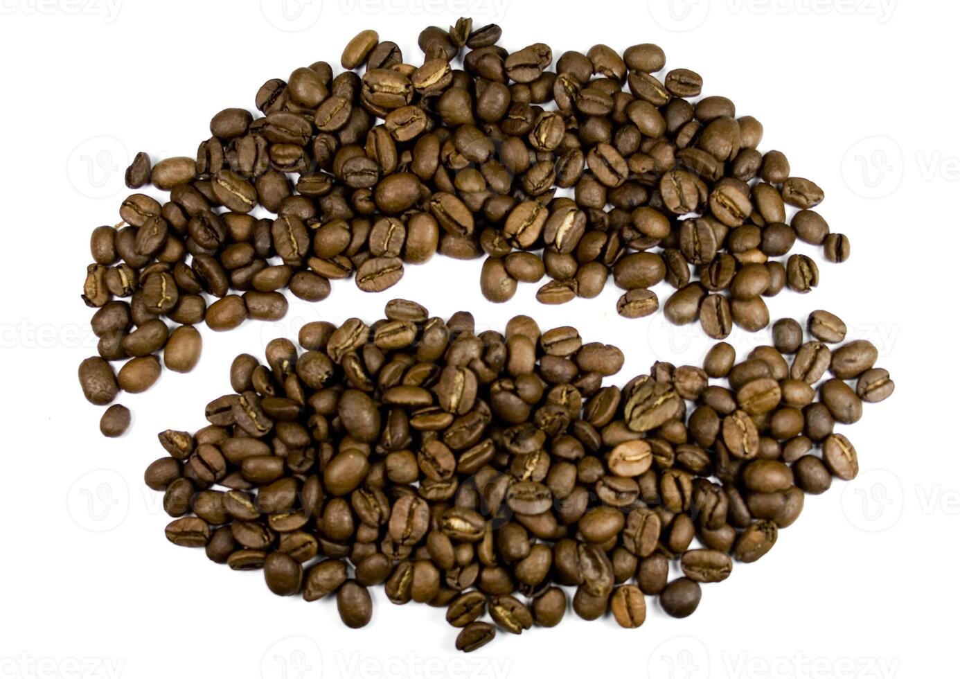 coffee bean on white photo