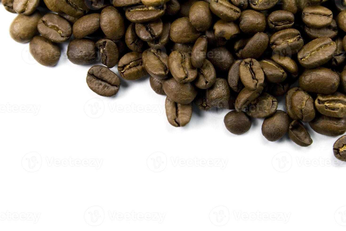 coffee beans close up photo