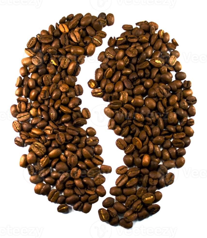 coffee bean on white photo