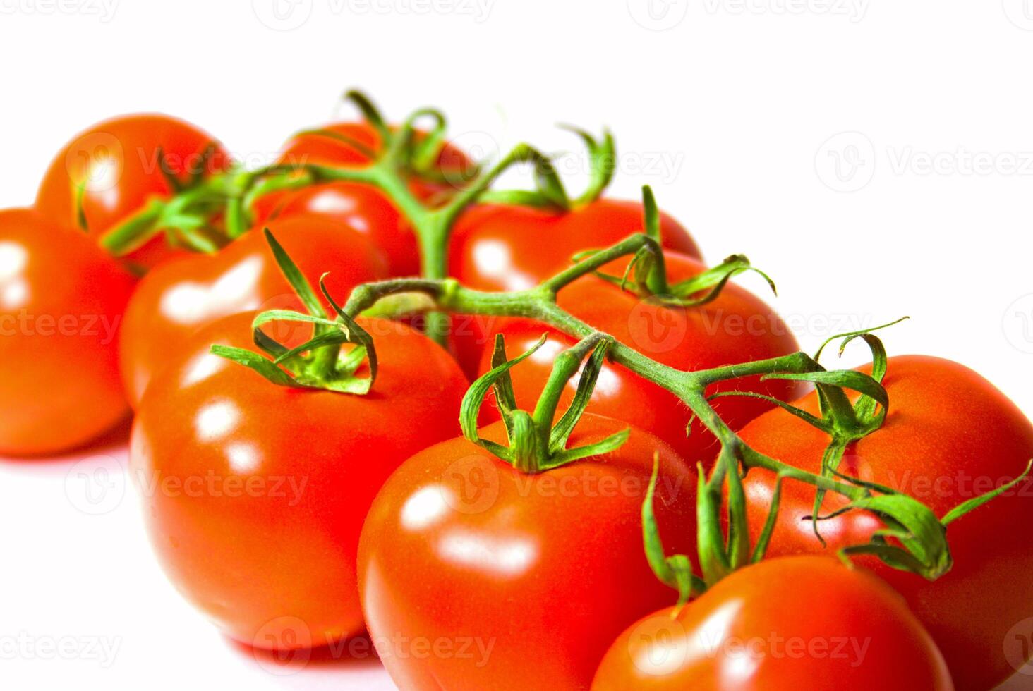 fresh tomatoes on white photo