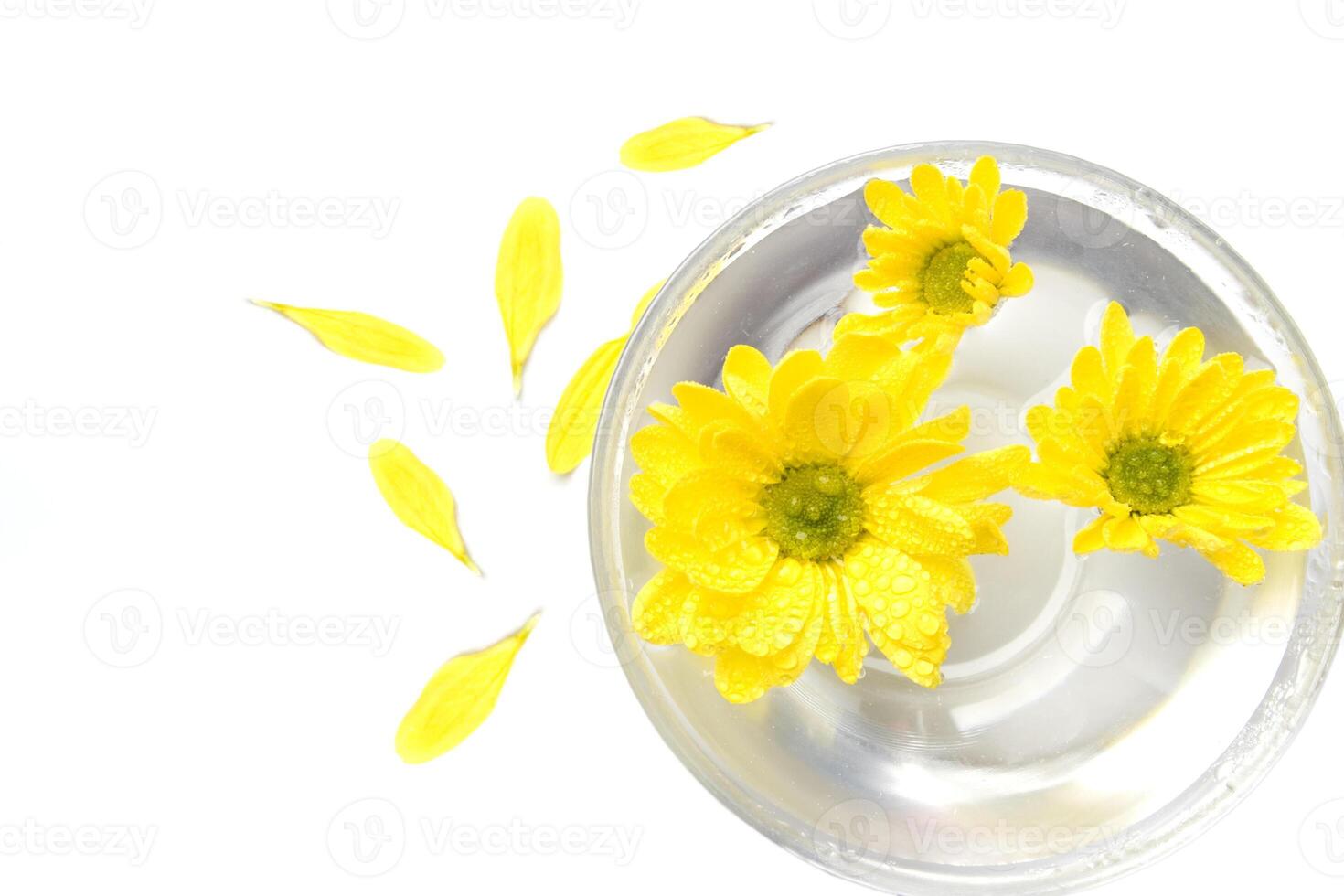 yellow flowers in water and petals photo