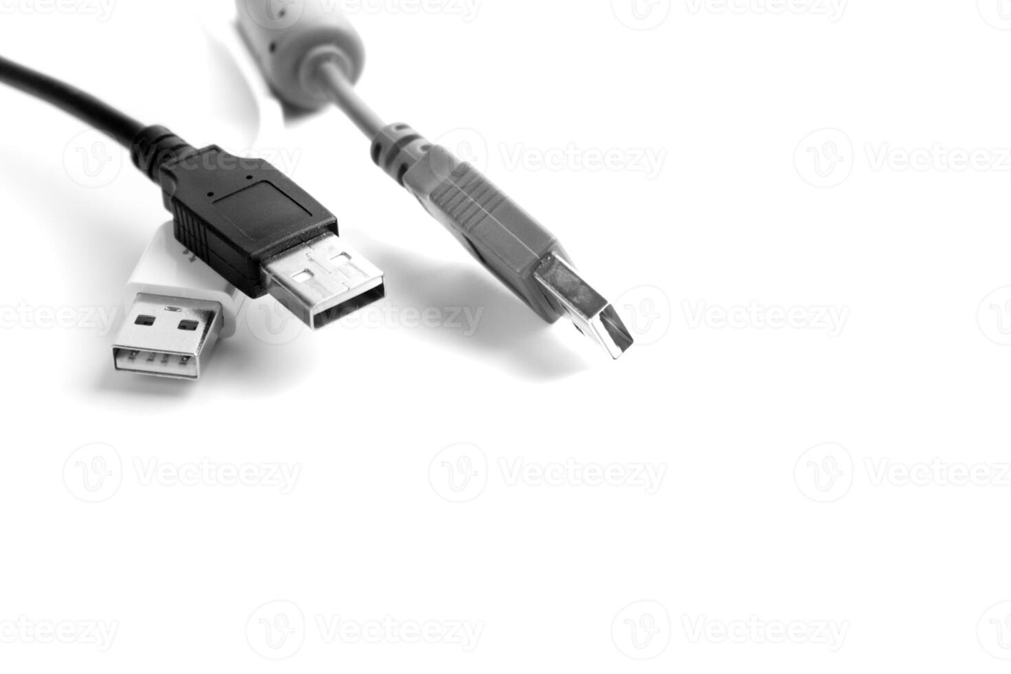 usb cables on white photo