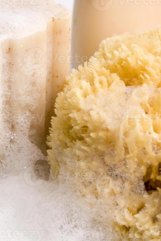 soap, natural sponge and foam photo