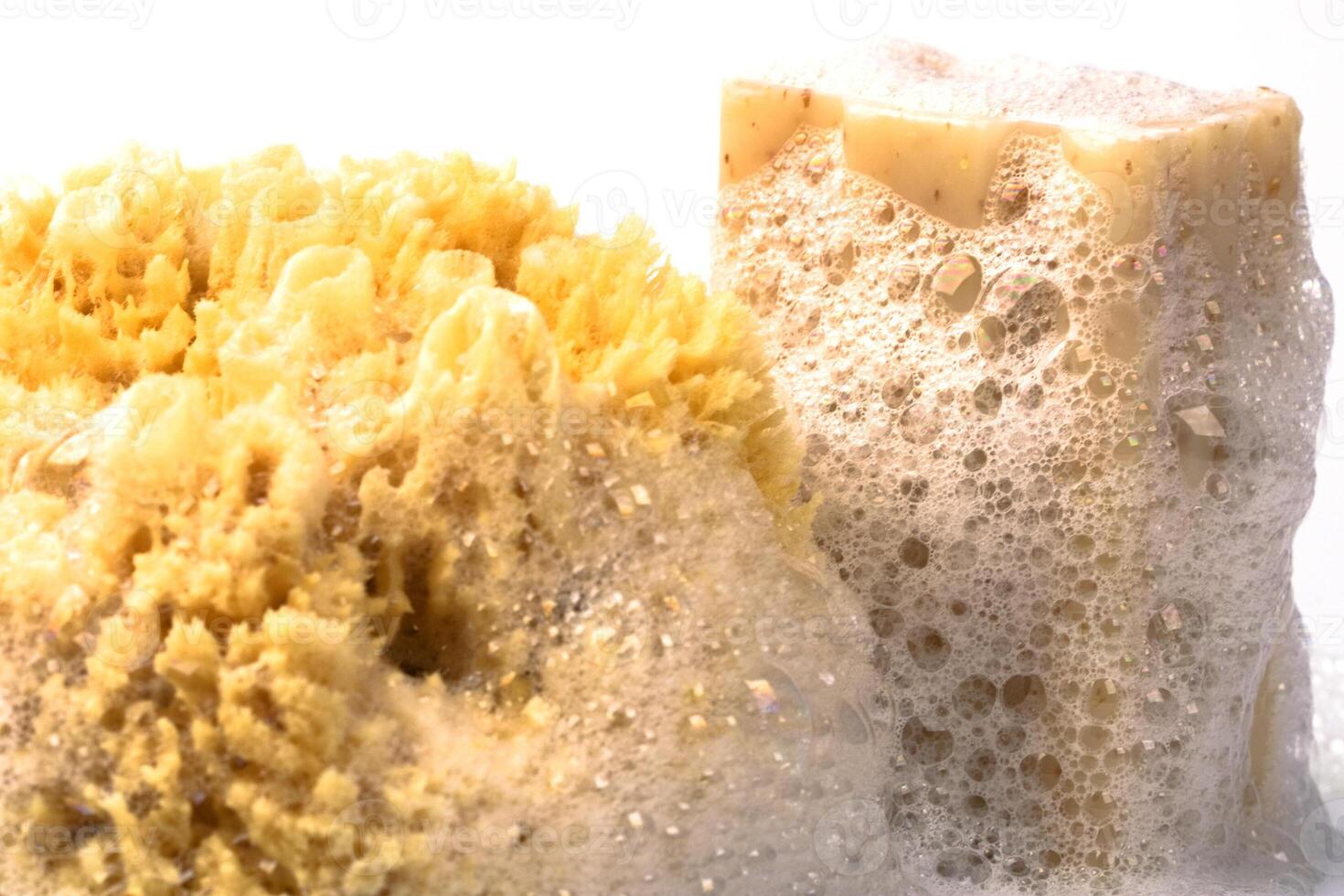 soap and natural sponge photo