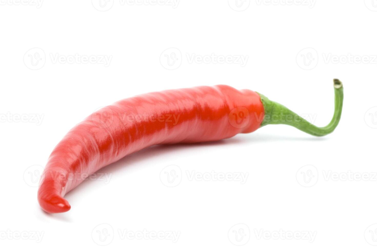 red chili pepper photo