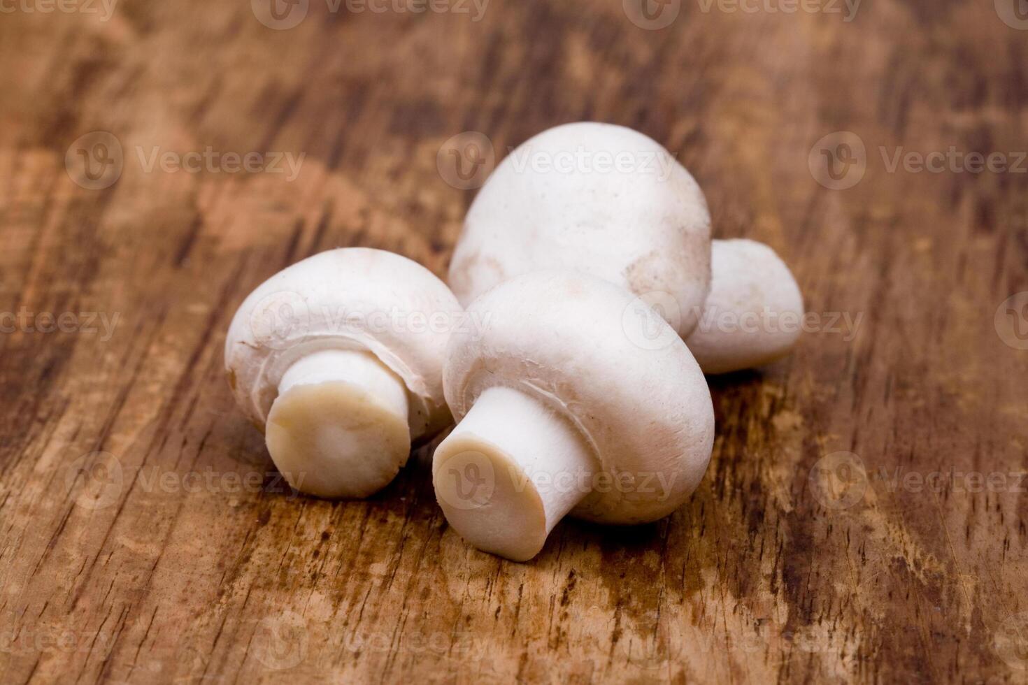 three fresh champignon photo
