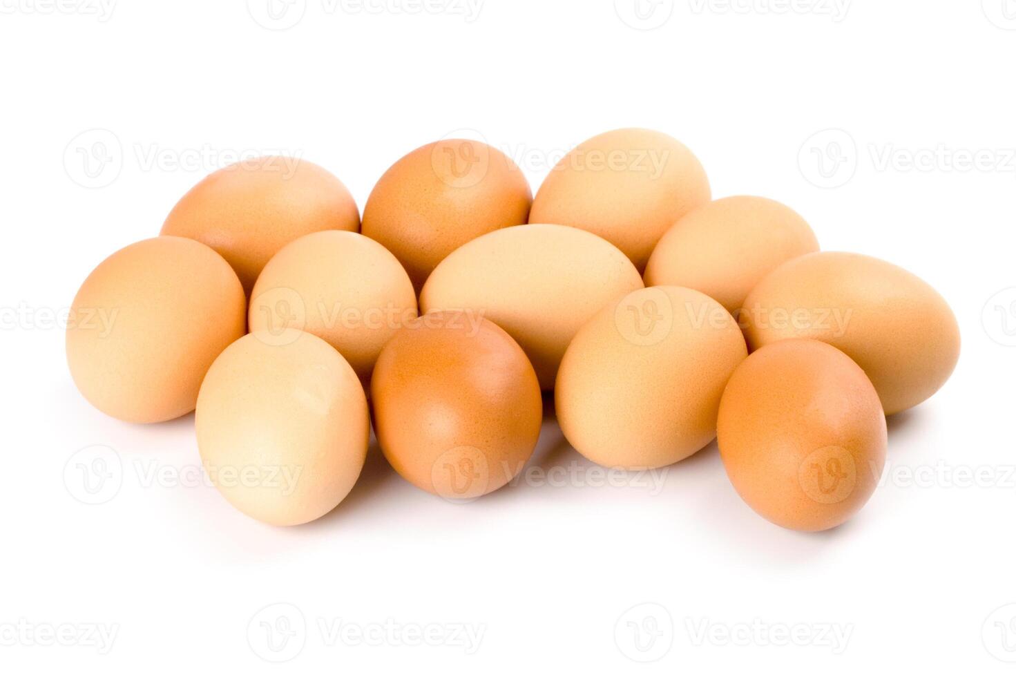 twelve brown eggs photo