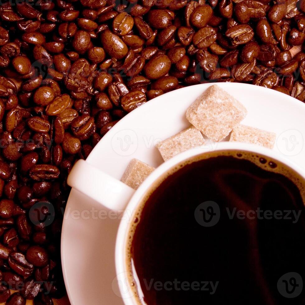 coffee and shugar cubes photo