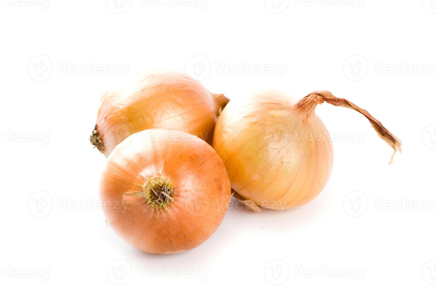 three fresh onions photo