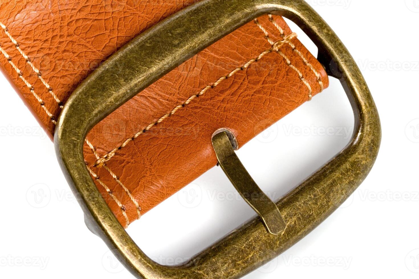 brown belt with bronze buckle photo