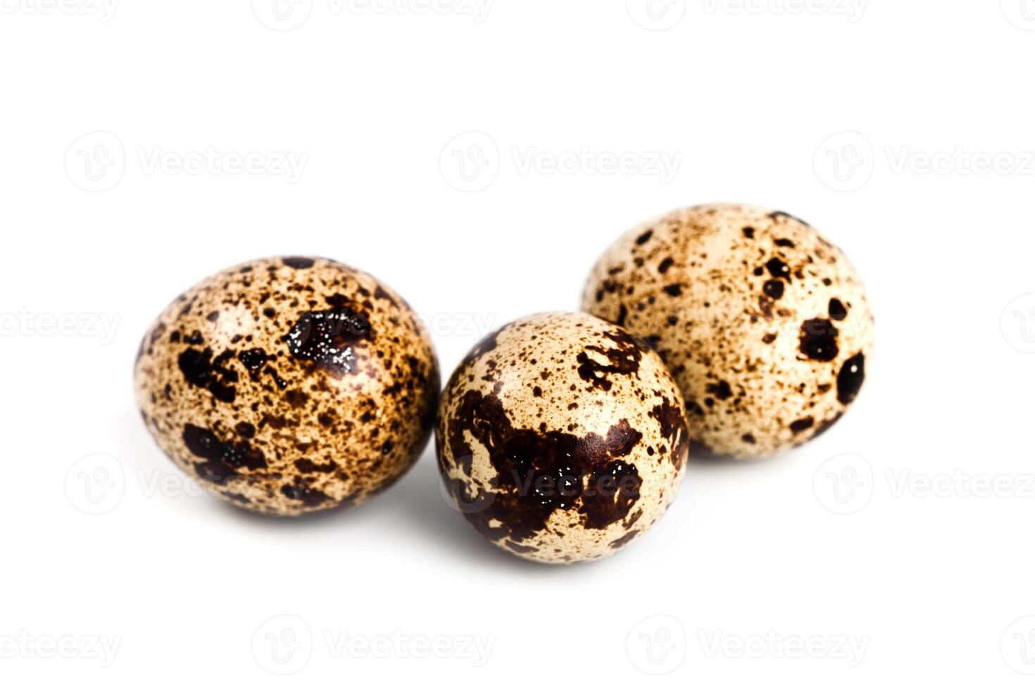 three quail eggs photo