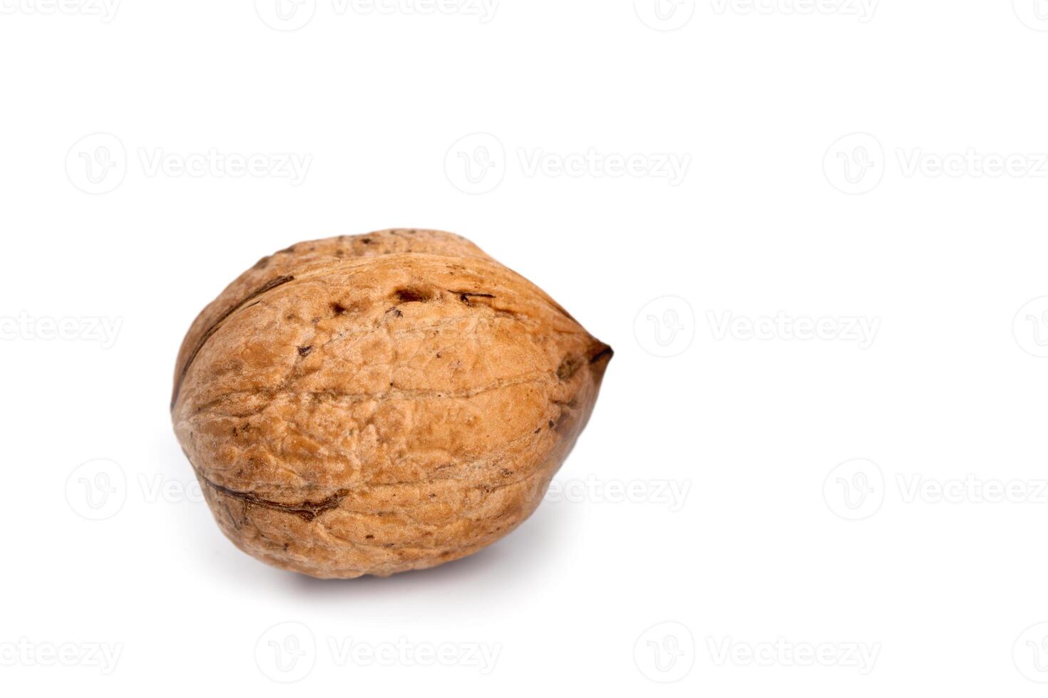 single fresh walnut photo