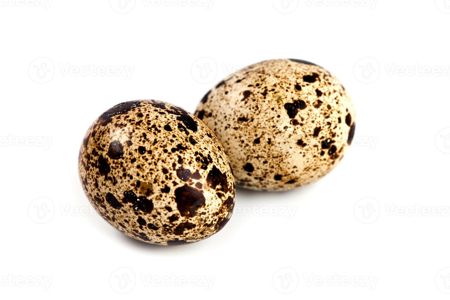 two quail eggs photo