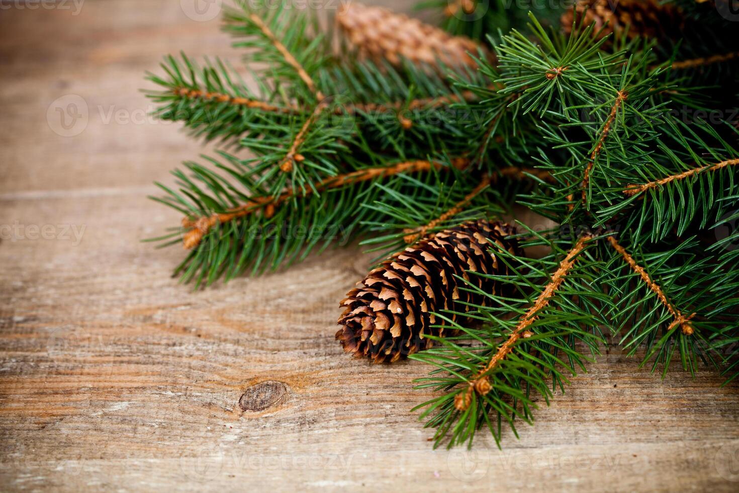 christmas fir tree with pinecones photo
