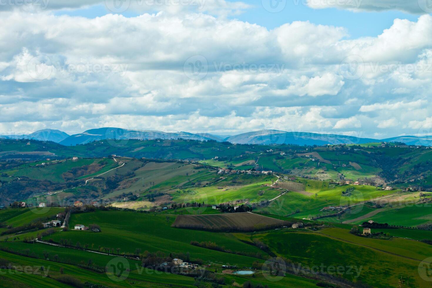 lovely green lush countryside photo