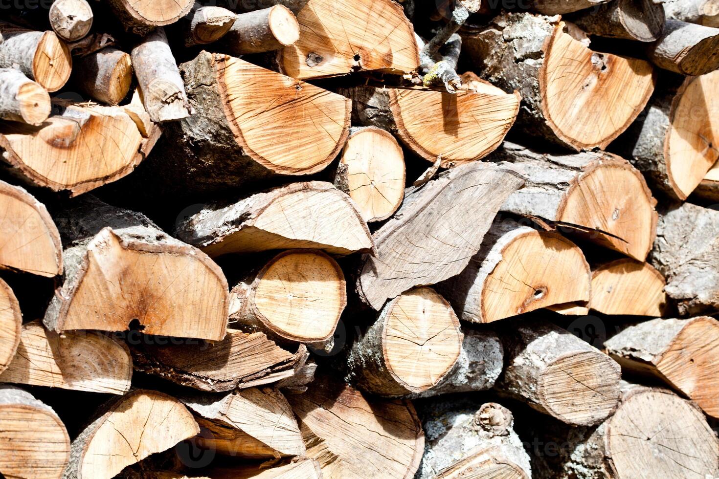dry chopped firewood logs in a pile photo