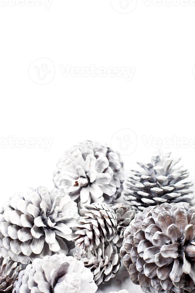 White decorative pine cones. photo
