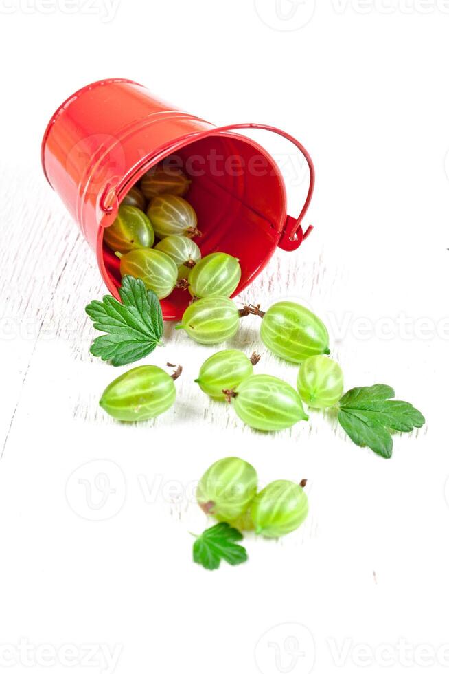 green gooseberry in metal bucket photo