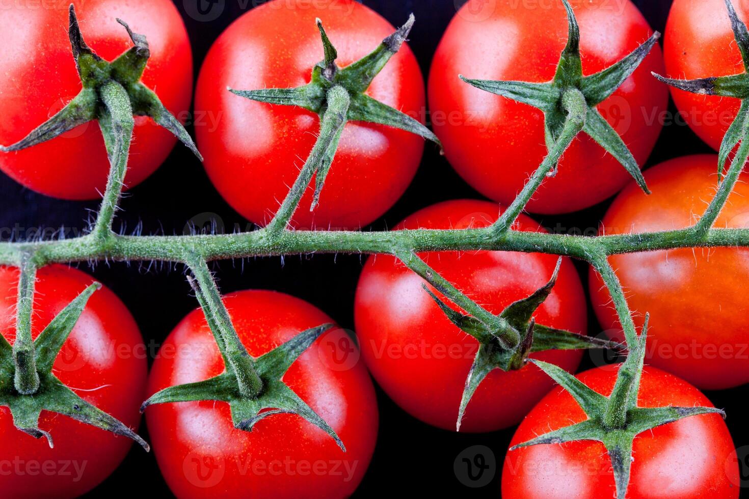branch of cherry tomatoes photo