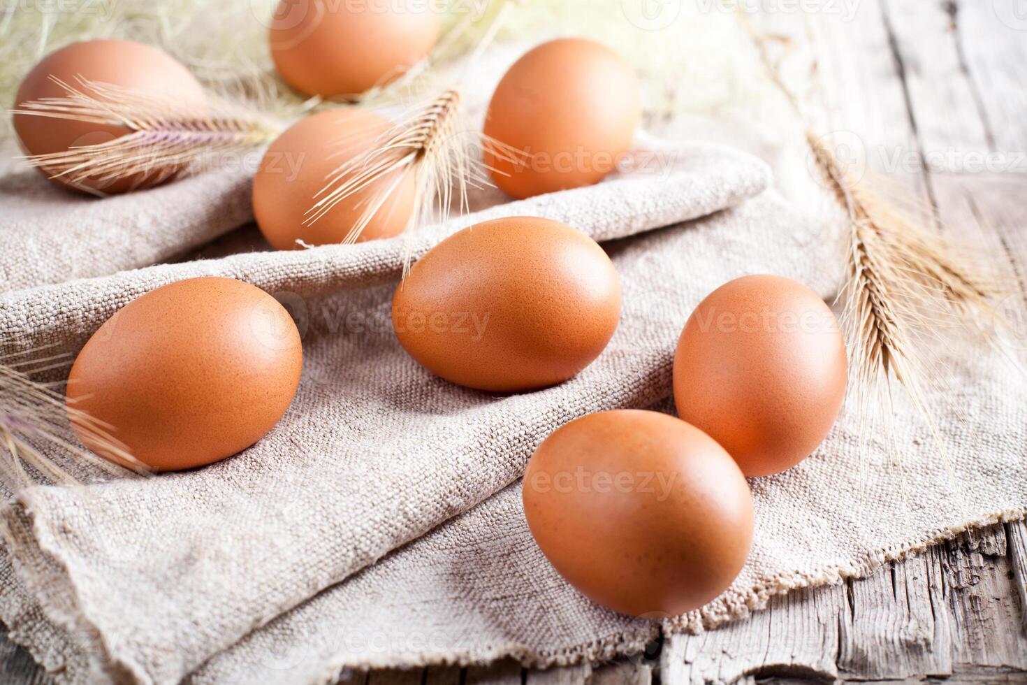 fresh brown eggs and wheat ears photo