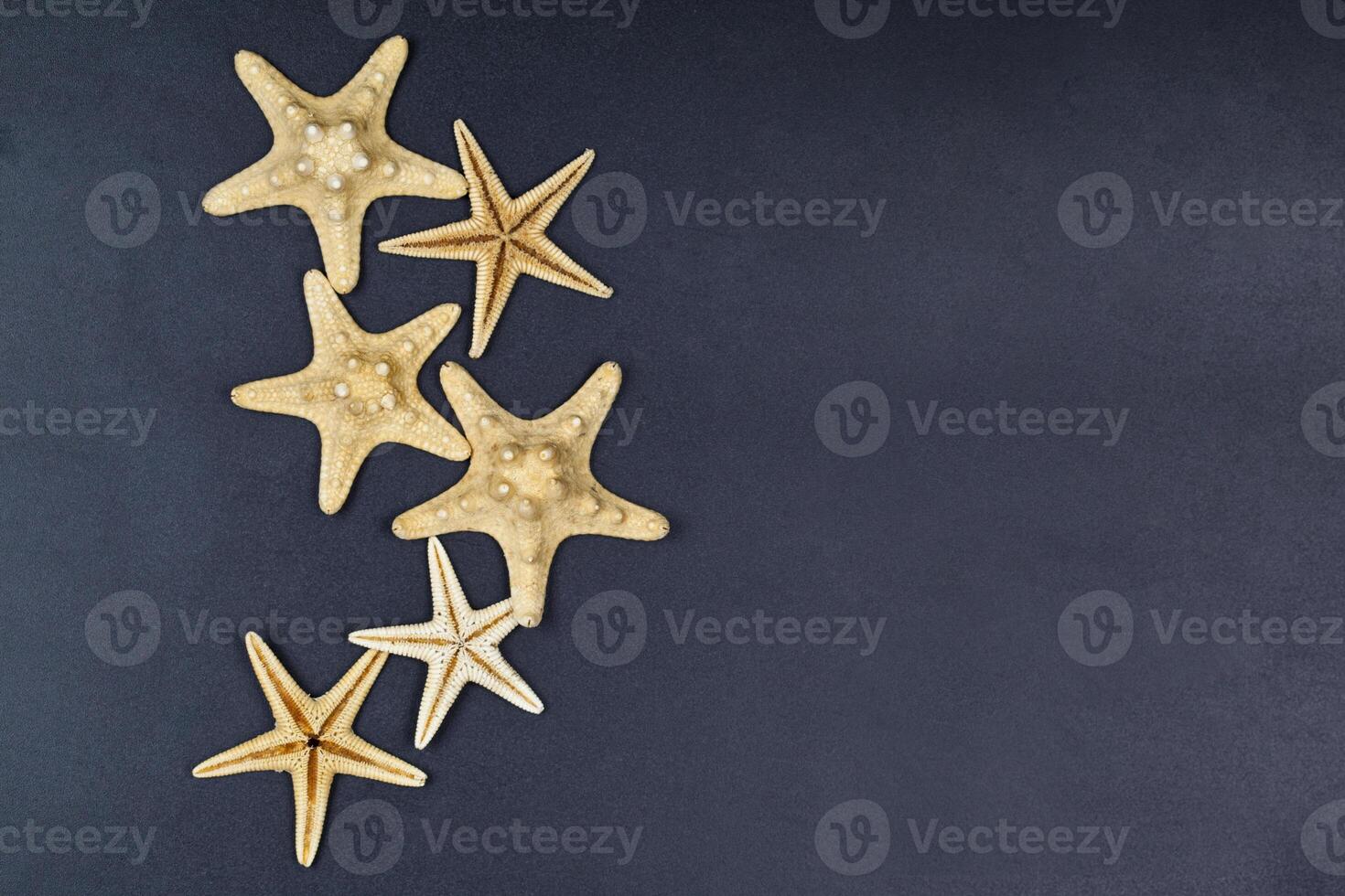 Top view of five starfish on black background. photo