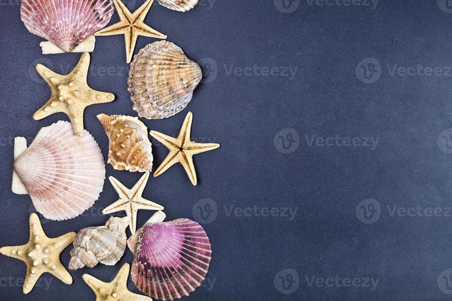 Top view of shells and starfish group on black background. photo