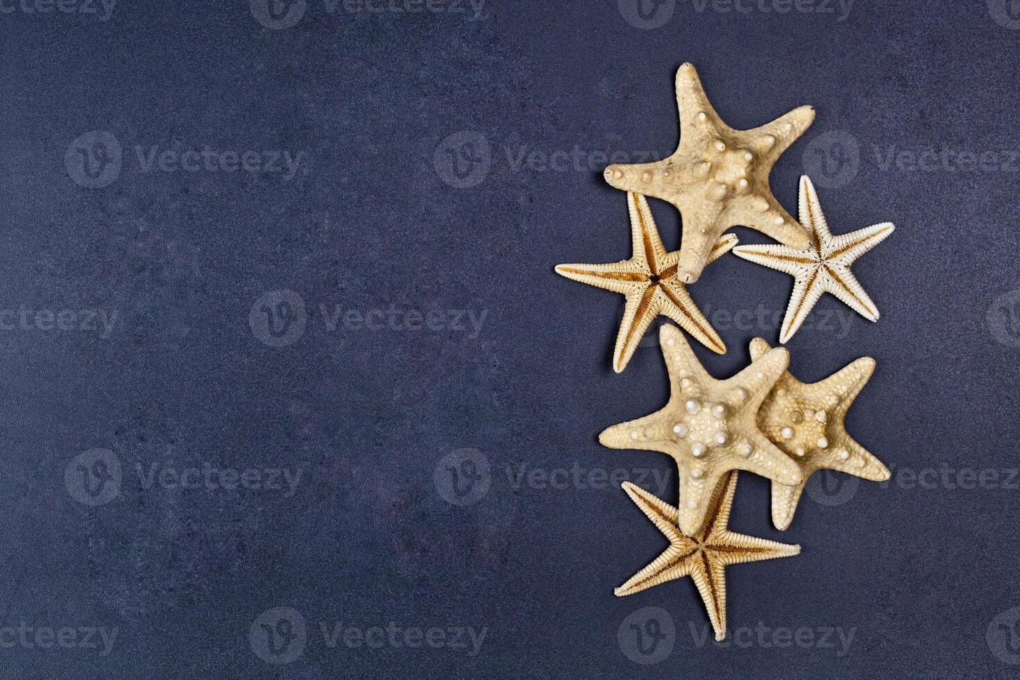 Top view of five starfish on black background. photo