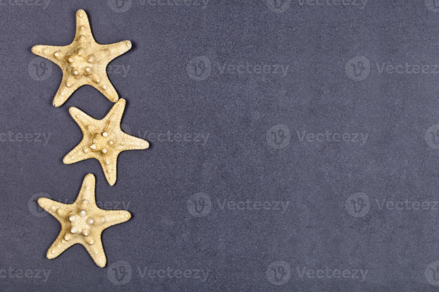 Top view of three starfish on black background. photo