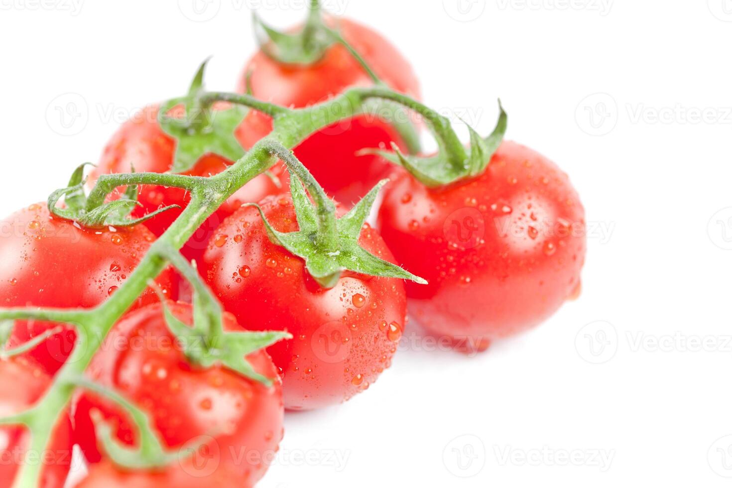Fresh organic wet cherry tomatoes bunch closeup, isolated on white. photo