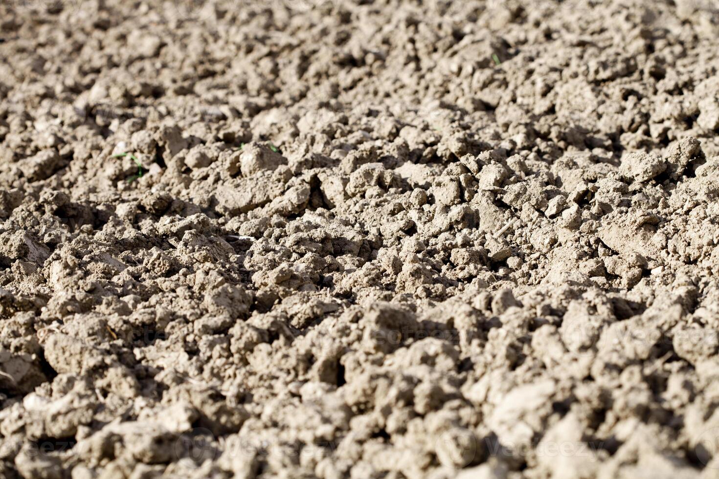 Soil texture background. photo