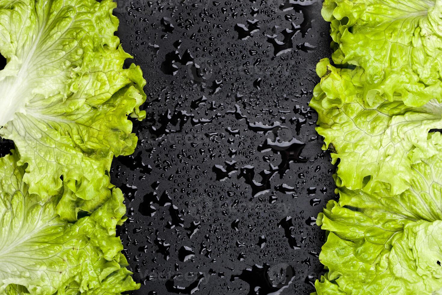 Green organic lettuce salad leaves frame on wet black background. photo