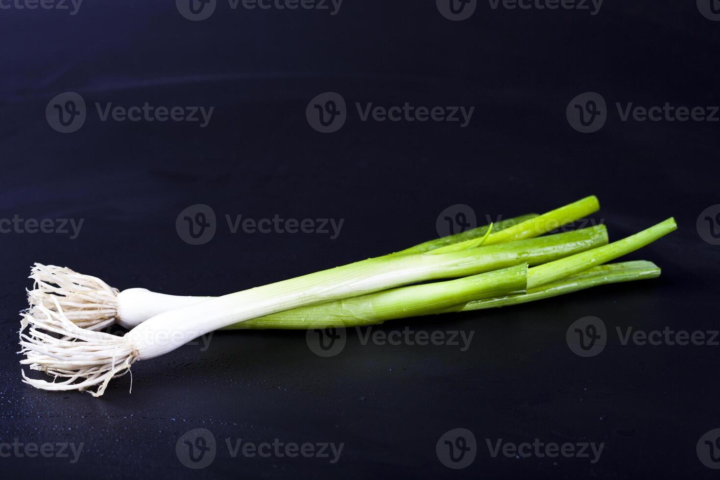 Fresh organic green onion on wet black background. photo